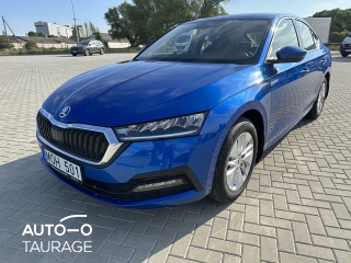 Nuomojamas Skoda Octavia