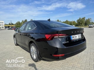 Nuomojamas Skoda Octavia