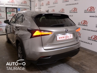 Nuomojamas Lexus NX 300h