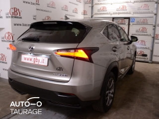 Nuomojamas Lexus NX 300h