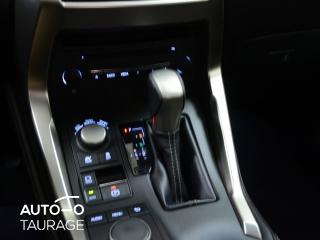 Nuomojamas Lexus NX 300h