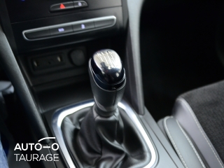 Nuomojamas Renault Megane