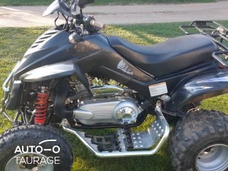 Dinli -kita-, ATV / Quad / Trikes