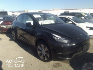Tesla Andere