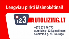 123autolizing