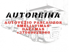 Autoreina